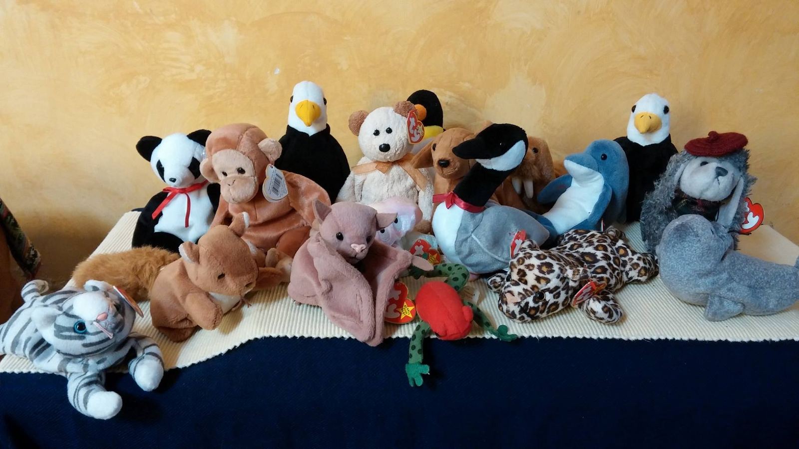 Donated stuffed animals lined up against a yellow wall: a panda, eagles, a dolphin, a leopard, a cat and more