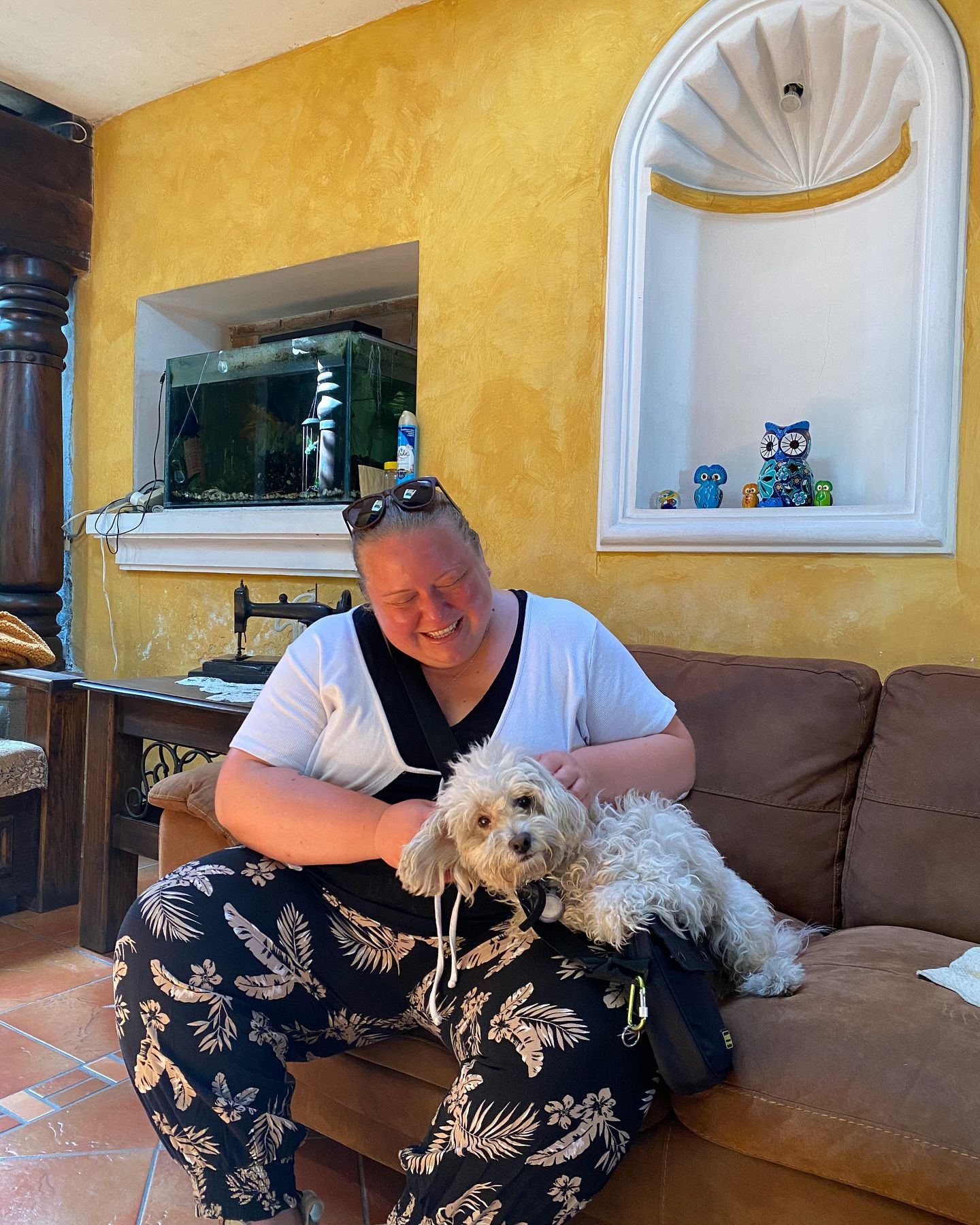 A donor laughs on a sofa while petting a small white dog in a room with yellow walls
