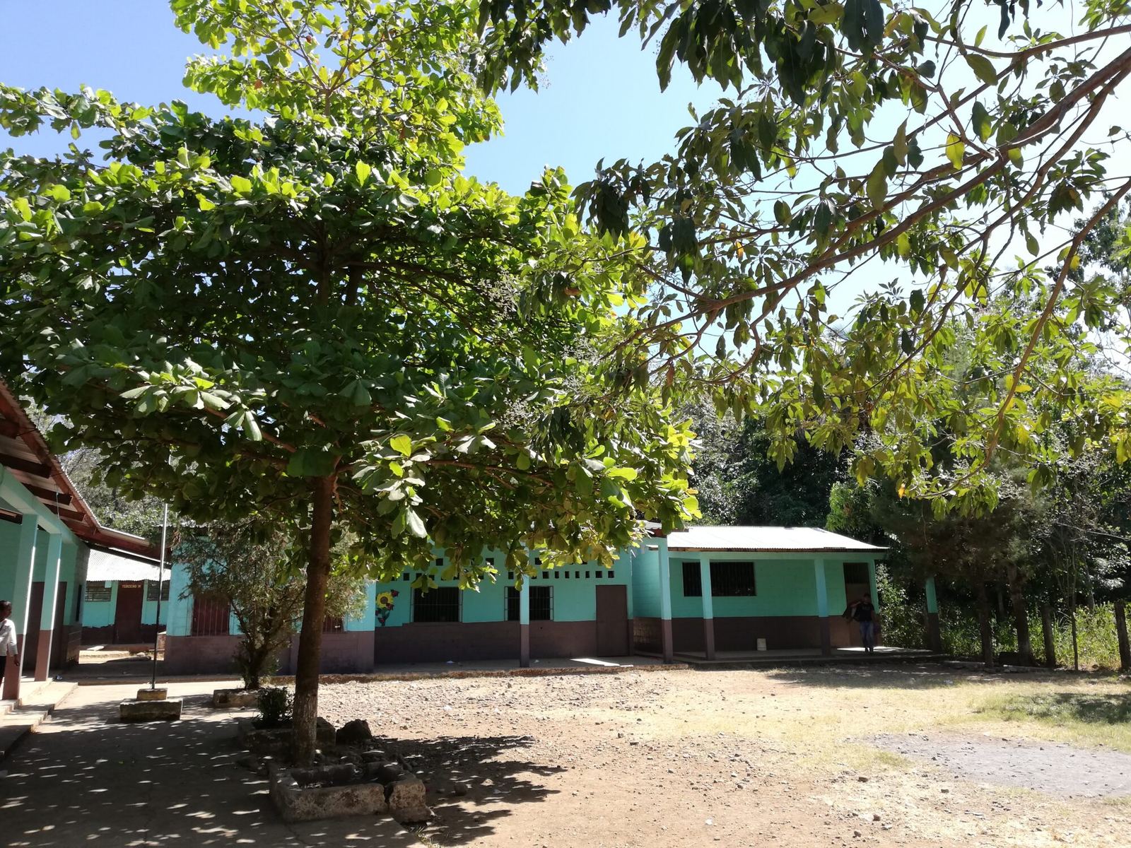 The school’s dirt courtyard under a large tree, with turquoise classrooms with brown bases behind